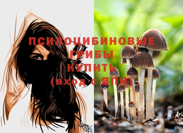 герыч Володарск